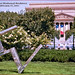 David Cogswell Photo 4