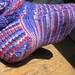 Paul Trunk Photo 7