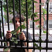 Michael Perez Photo 31