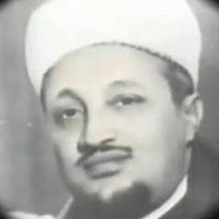 Mohammed Mahamoud Photo 8