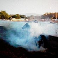 Moises Bustos Photo 5