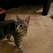Genevieve Milos Photo 7