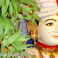 Dhara Patel Photo 34
