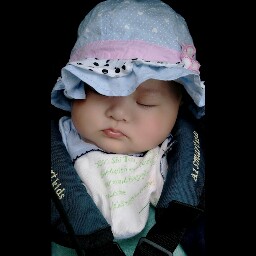 Zhuo Chen Photo 27