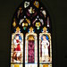Ann Bartow Photo 12