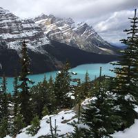 Le Tang Photo 28