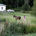 Amy Neighbors Photo 8
