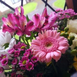 Jane King Photo 24