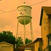 Marion Waters Photo 10