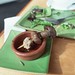 Rosemary Hawthorne Photo 8