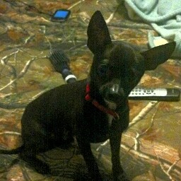 Misty West Photo 32