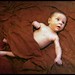 Seth Fine Photo 9