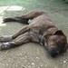 Laura Bianchi Photo 8