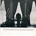 George Tamer Photo 2