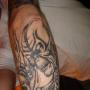 Anthony Perino Photo 17