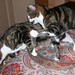 Larry Lester Photo 4
