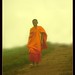 Chi Phu Photo 1