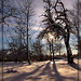 Ann Anderson Photo 16