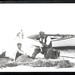 Ted Miles Photo 14