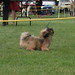 Christine Nash Photo 14