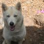 Gail Watts Photo 40