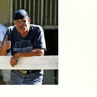 Domenic Rossetti Photo 2