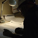 Michael Moshier Photo 9