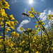Christian Senger Photo 8