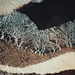 Fong Han Photo 8