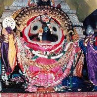 Krishna Dasa Photo 2
