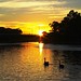 Daniel Swan Photo 7