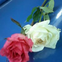 Claire Velasco Photo 12