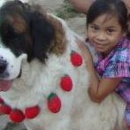 Patricia Roman Photo 20