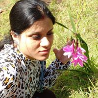 Sudipta Chaudhuri Photo 12