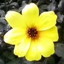 Elizabeth Roby Photo 22