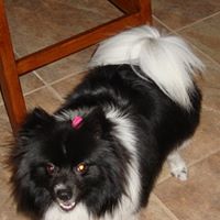 Ann Dobens Photo 2