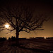 Jamie Wolf Photo 16