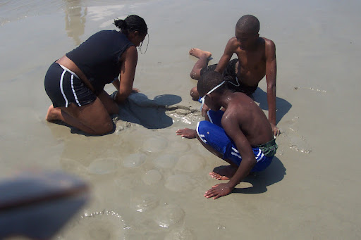 Marcus Dennis Photo 17