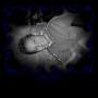 Felipe Cedillo Photo 13