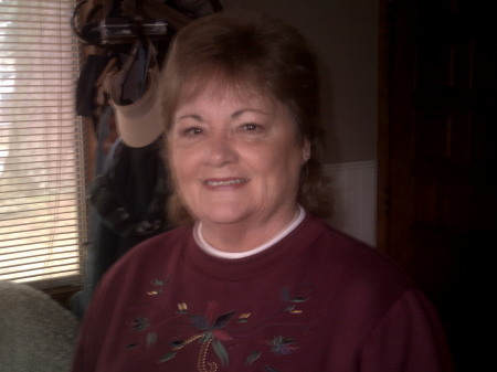 Carol Lewis Photo 29