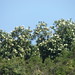 Julia Forst Photo 4