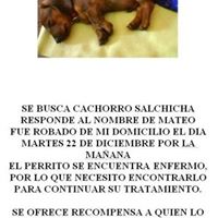 Hernan Abarca Photo 15