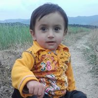 Abid Umar Photo 8