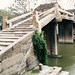 Zhong Yuan Photo 3