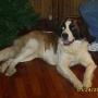 Steven Butler Photo 47