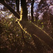 Diana Moss Photo 14