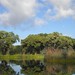 Greg Everhart Photo 5