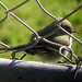 Barbara Gray Photo 9