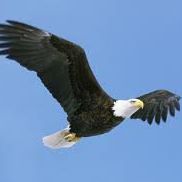 James Philip Photo 28