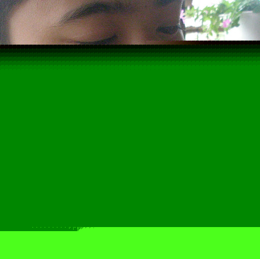 Lap Vu Photo 7